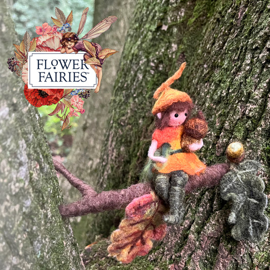 Official Flower Fairies™️ Acorn Fairy Needle Felt Kit - The Makerss