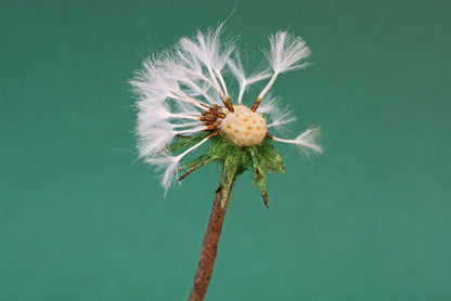 Dandelion Clock Needle Felting Workshop with Artist Agnese Davies Thursday 10th October - The Makerss