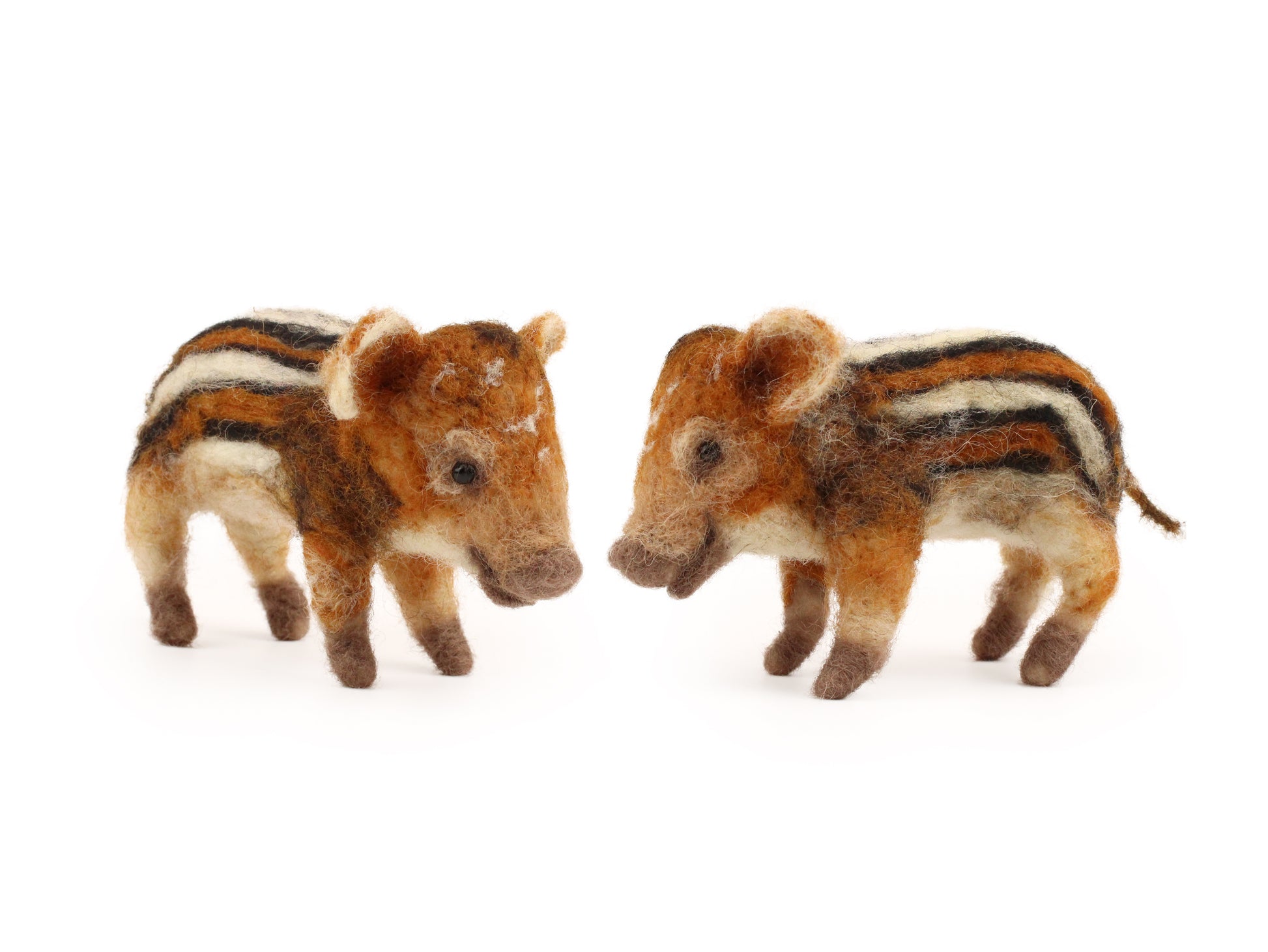 Wild Boar Piglets Needle Felt Kit - tools optional - The Makerss