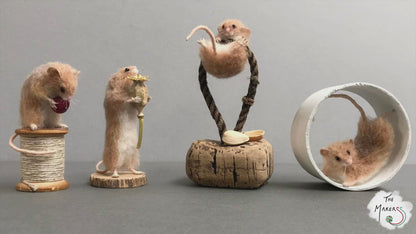 Makerss Masterclass - Harvest Mouse with Agnese Davies