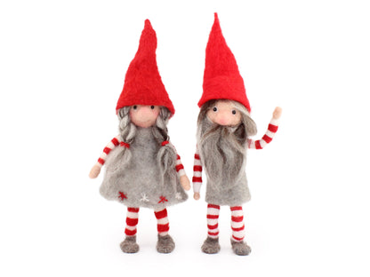 Festive Tomte Needle Felt Kit - makes one - The Makerss